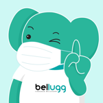 Bellugg Luggage Delivery